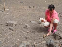 Resize of DSC02799.JPG